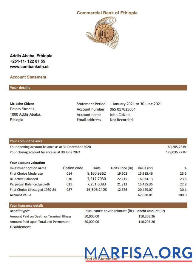 Blank Ethiopia Commercial bank statement excel example